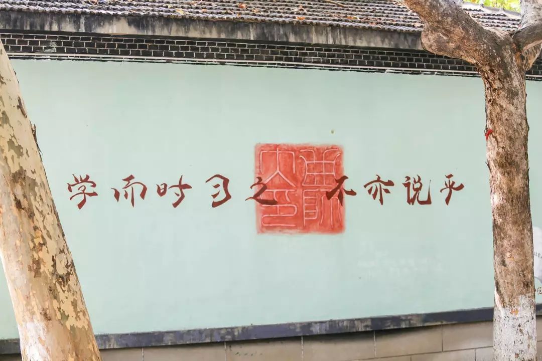 星空体育app下载